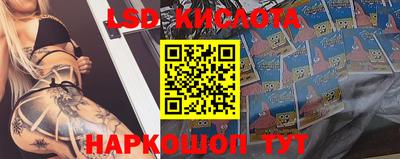 стафф Краснознаменск