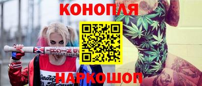 стафф Краснознаменск